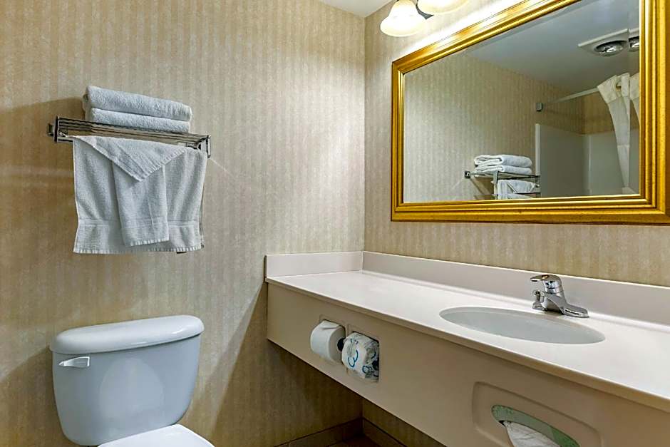 Quality Inn & Suites Manistique