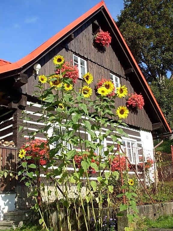 Chalupa U Studánky