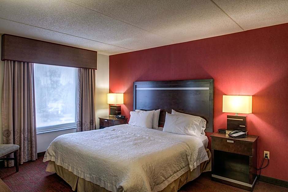 Hampton Inn By Hilton And Suites Detroit/Airport-Romulus