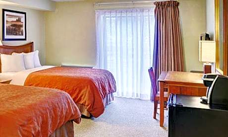 Standard  Double Room