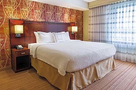 Executive Suite, 1 King Bed with Sofa bed (1 King Bed and 1 Double Sofa Bed)