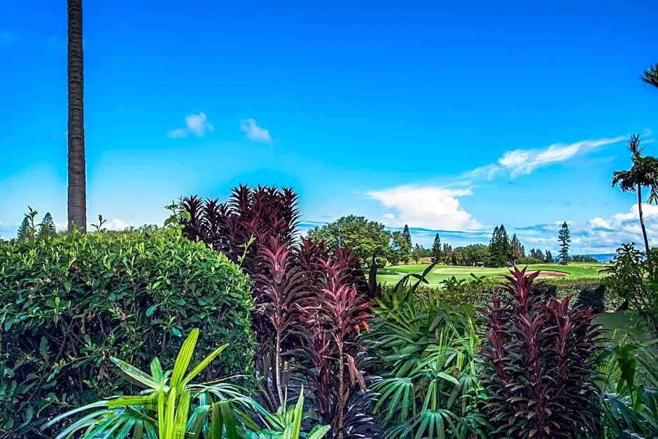 Waikoloa Fairways C120