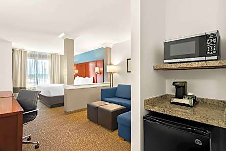 1 King Bed, Nonsmoking