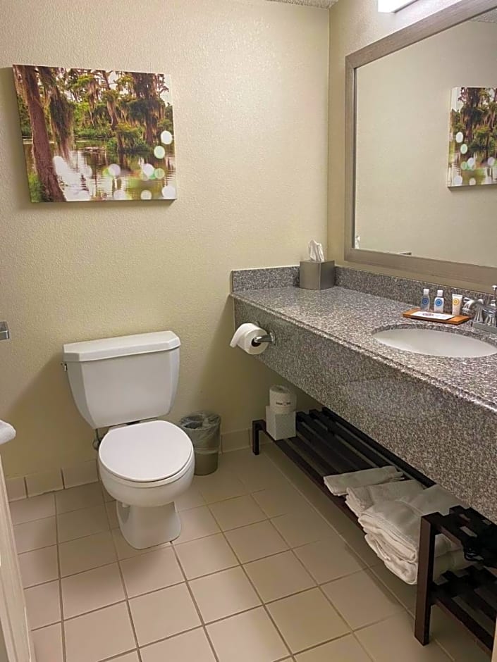Comfort Inn & Suites New Orleans Airport North