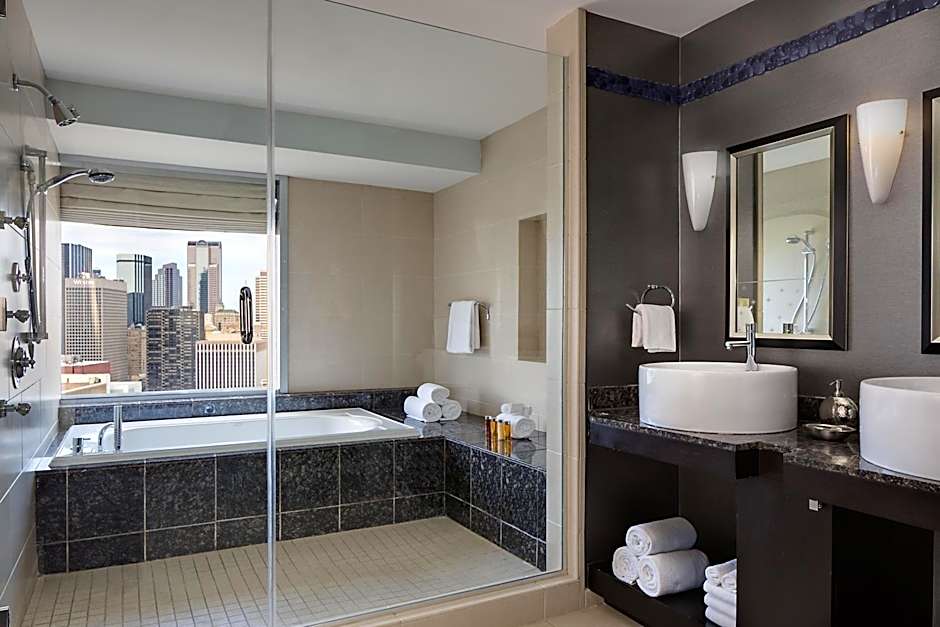 Hyatt Regency Dallas At Reunion