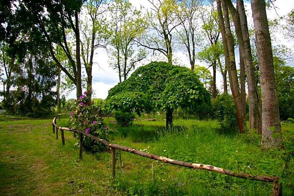 Villa Sunshine / Slunečna Vila