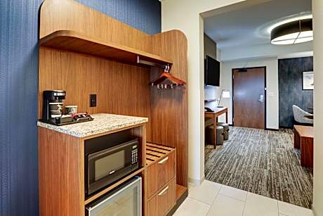 King Suite with Sofa Bed - Accessible, Roll-in Shower