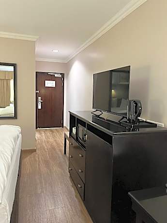 King Standard Room
