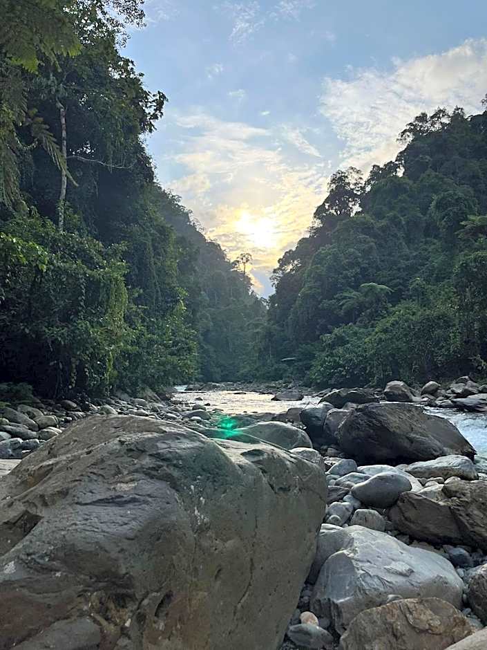 Asim Paris Guesthouse & jungle trekking
