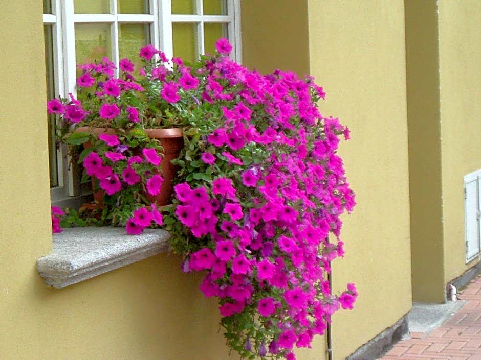 Hotel Del Fiume