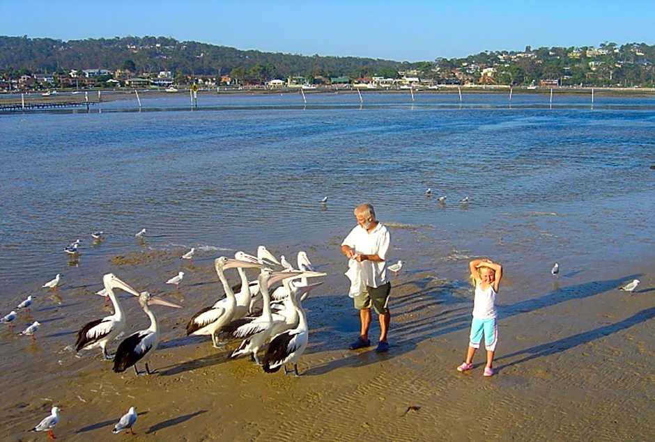 Nautilus Apartments Merimbula