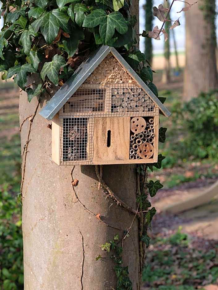 Le Domaine de Beaulieu