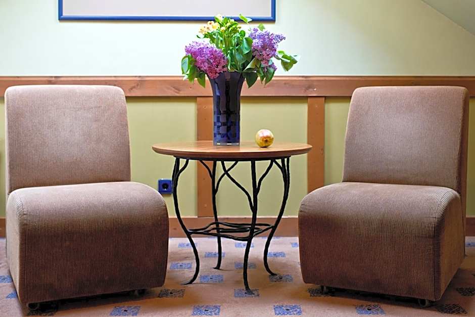 BEST BALTIC Hotel Druskininkai Central