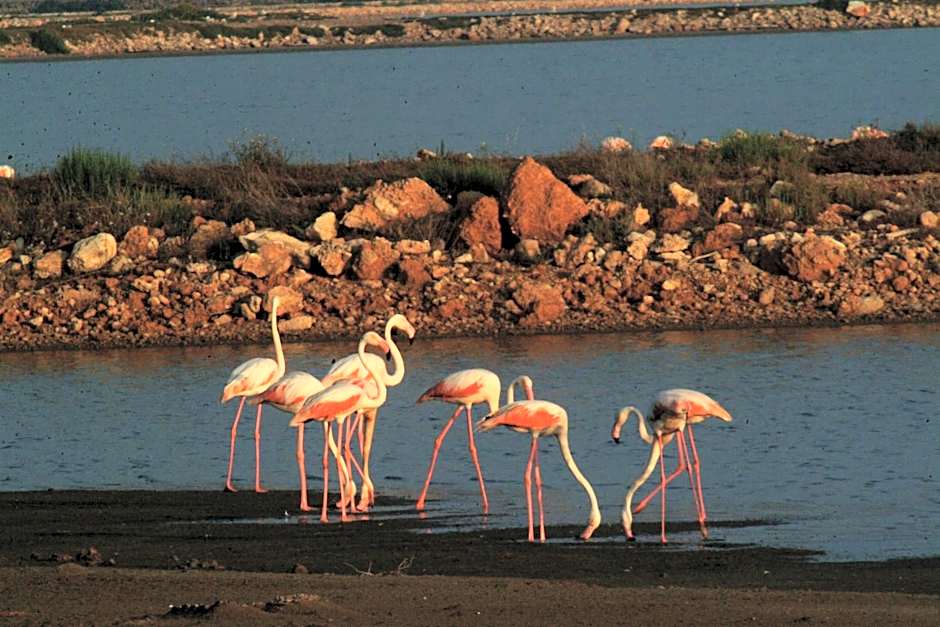 Hotel Mediterrani Blau