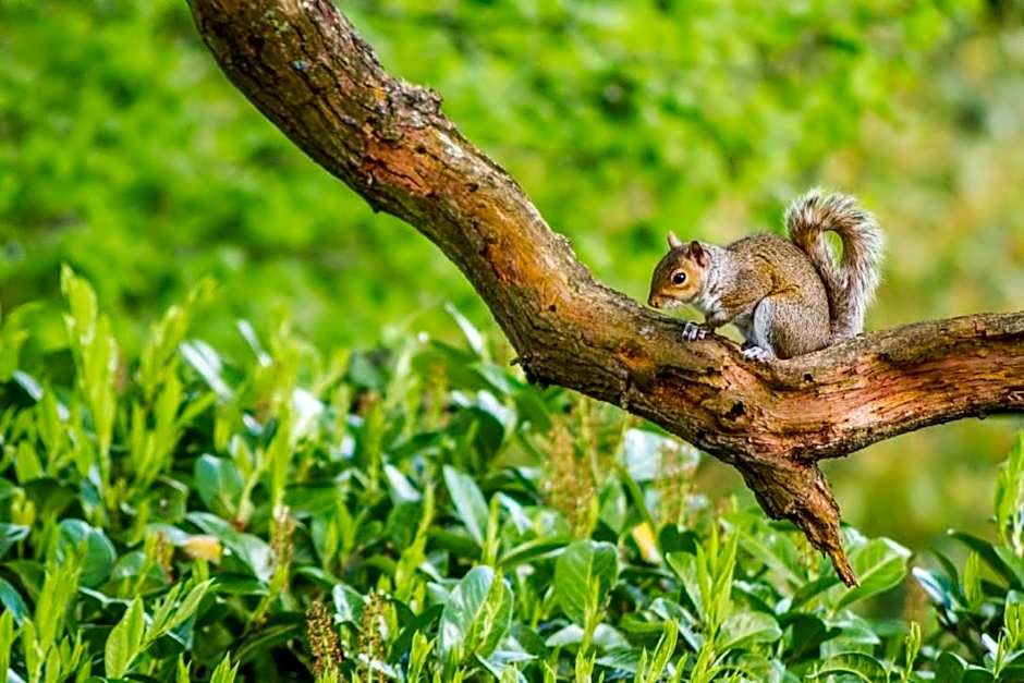 Pretty Maid House B&B