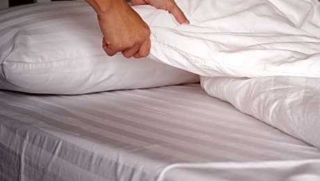 1 Queen Bed Nonsmoking