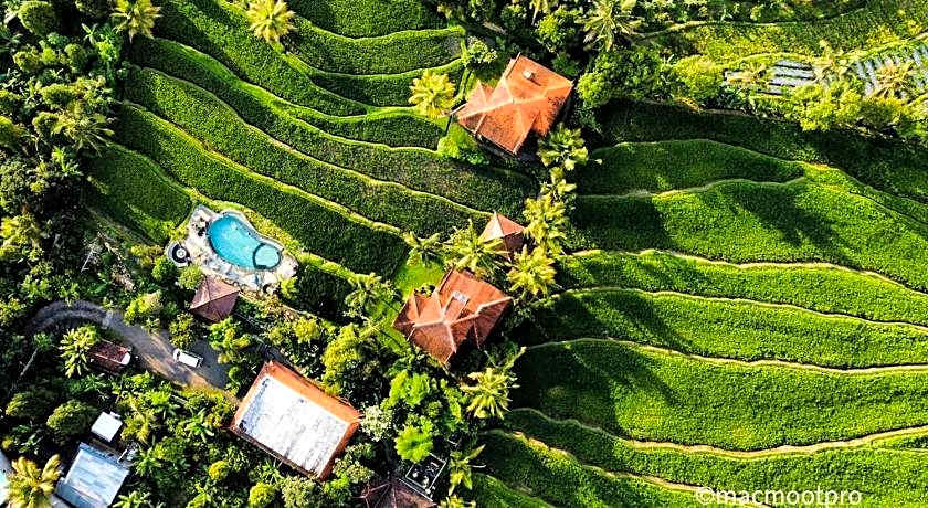 Lesong Hotel and Restaurant