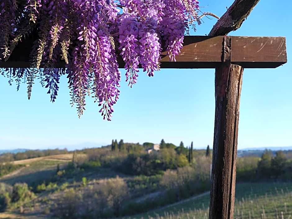 Borgo Argenina