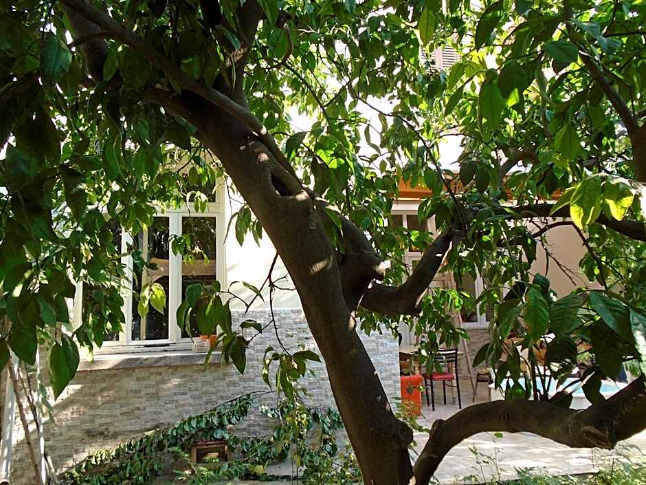 LOTUS GARDEN HOSTEL