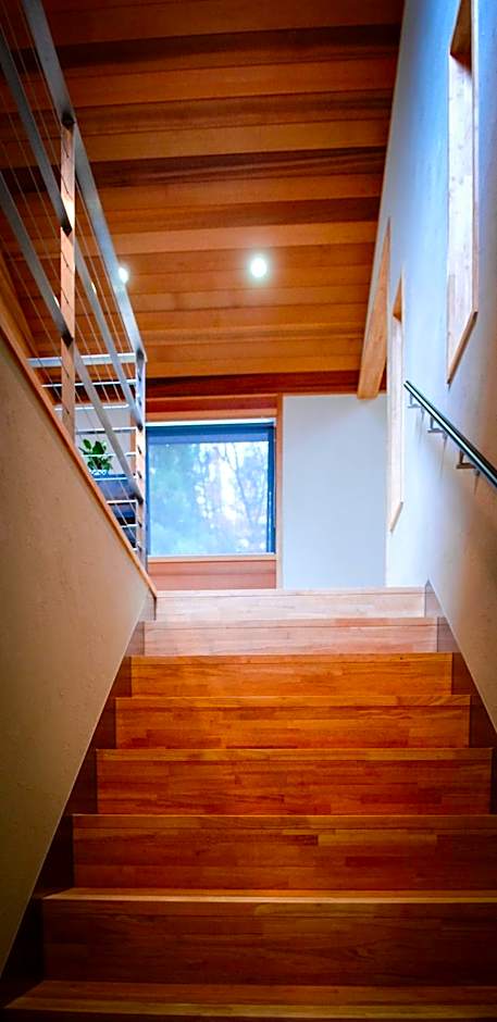 Phoenix Cocoon by HHG