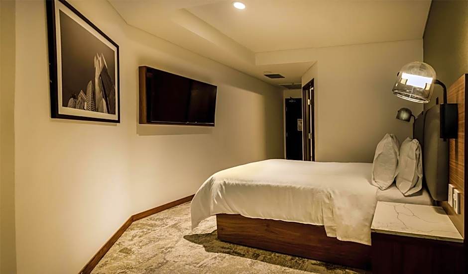 Hilton Garden Inn Mexico City Polanco
