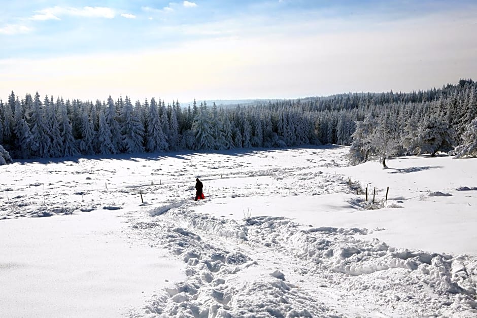 Domaine Des Pierres Davélie – Saint-Éloy-la-Glacière, MO