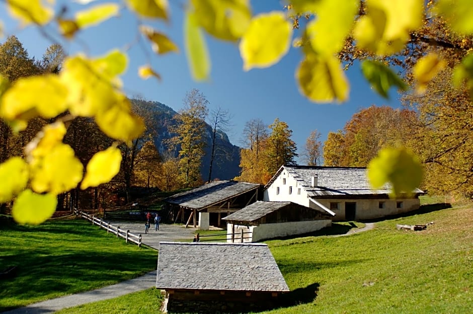 Hotel Lindenhof