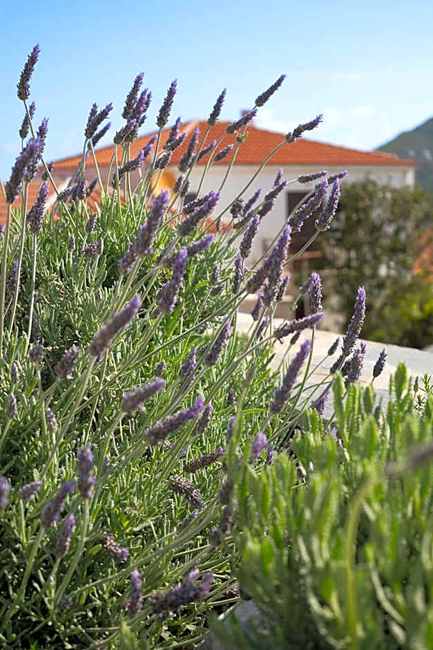 Fasolaki Skopelos - Eco Residences