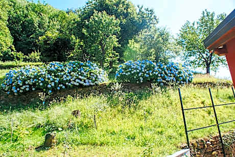 Triple Room with Mountain View