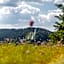 stuub hinterzarten
