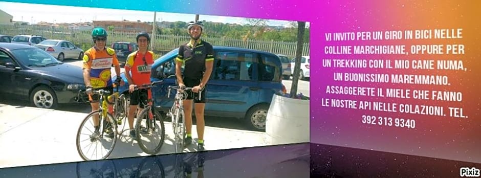 Agriturismo Campo Aperto