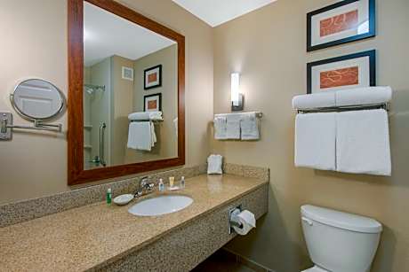 King Suite with Accessible Tub - Non-Smoking