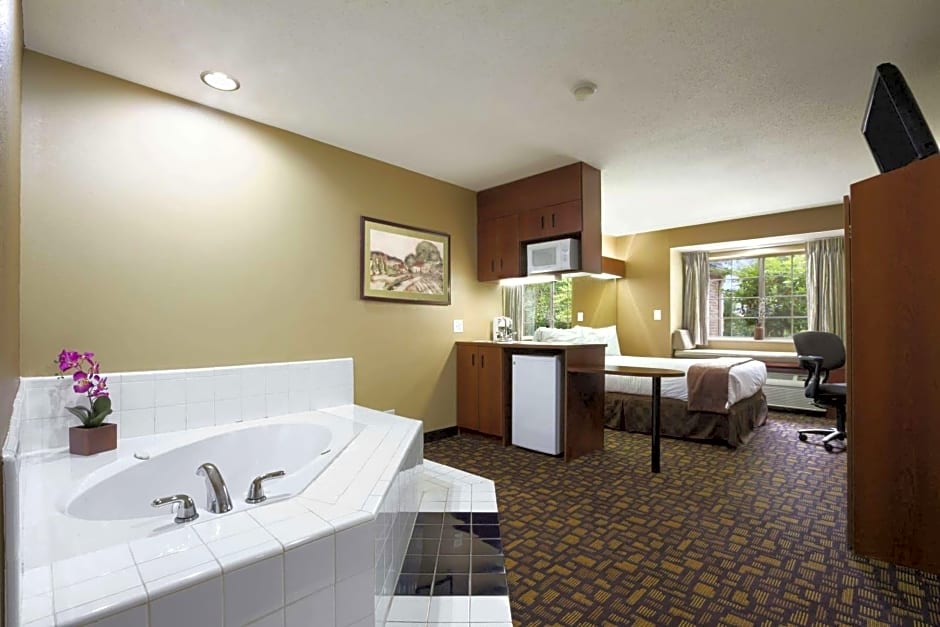 Microtel Inn & Suites By Wyndham Lithonia/Stone Mountain