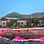 Dar Ba Sidi & Spa Chefchaouen