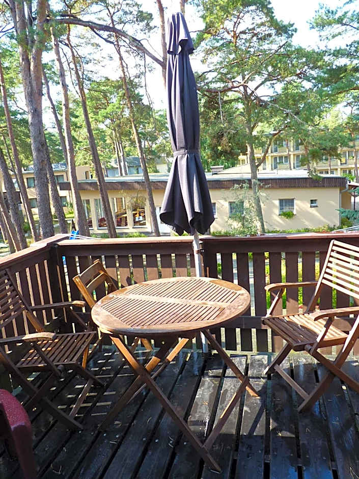 Ośrodek Wypoczynkowy W sosnowym lesie