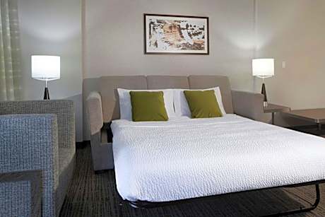 One-Bedroom King Suite with Bathtub and Sofa Bed - Mobility Access