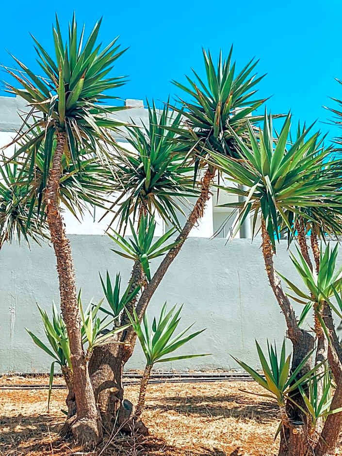 Elafonisi Rooms For Rent