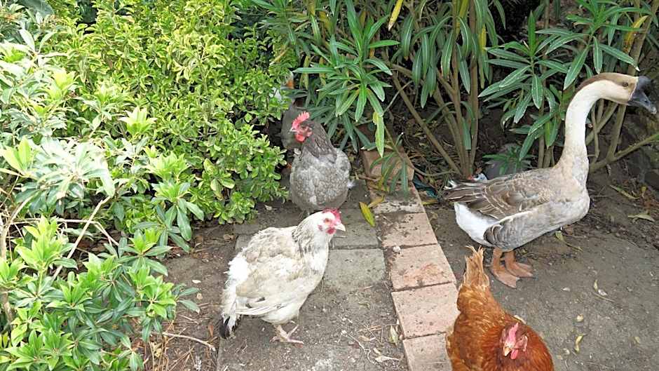 Hostelry private restaurant