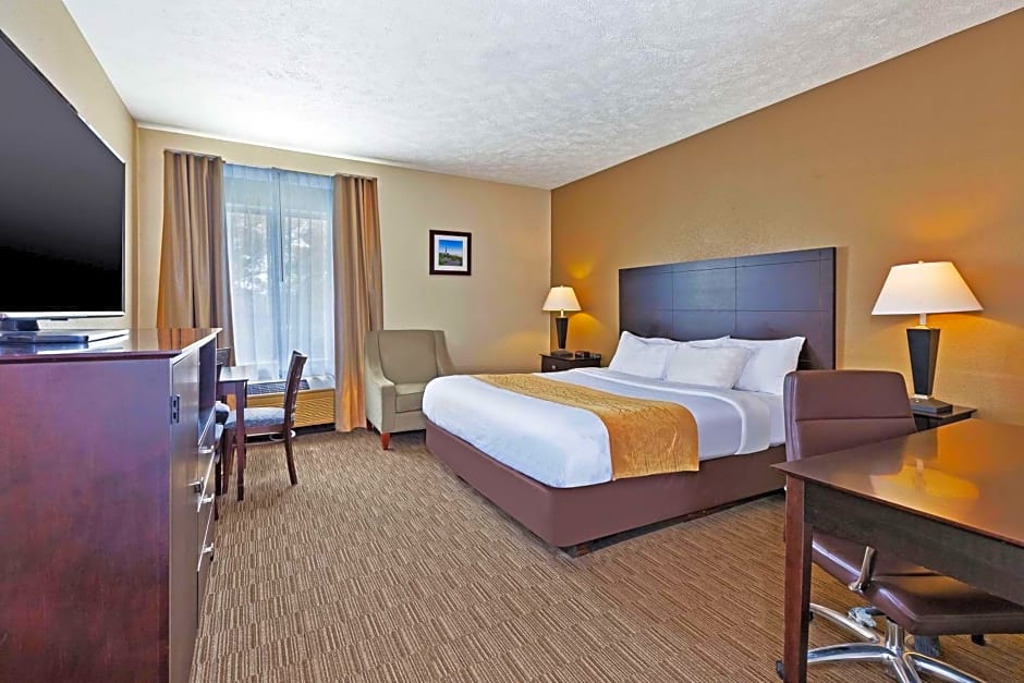 Comfort Inn Whitehall Near Michigan's Adventure