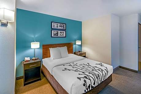 1 Queen Bed, Nonsmoking, Accessible