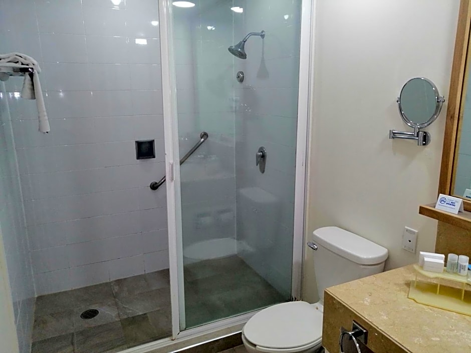 Holiday Inn Express Mexico Reforma By IHG