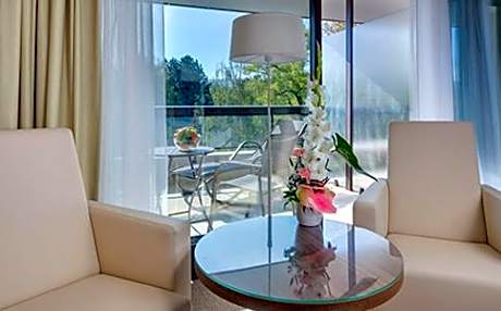 Premium Room with Wellness Access