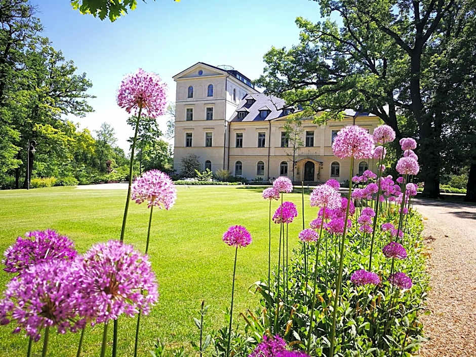 Chateau Mcely
