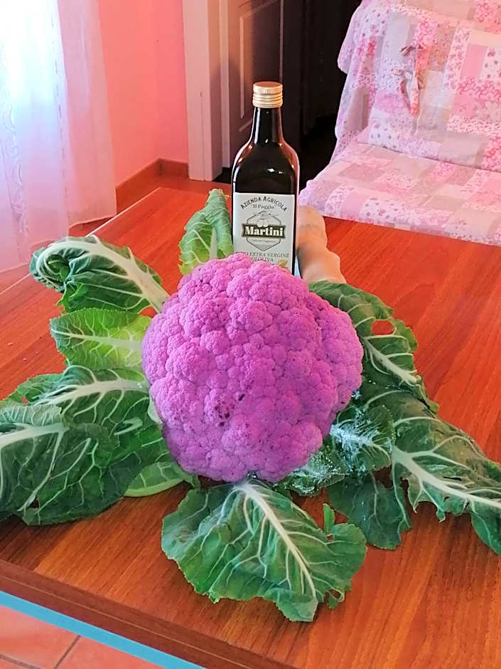 Agriturismo IL POGGIO DI VASIA CITR00864-AGR-0001