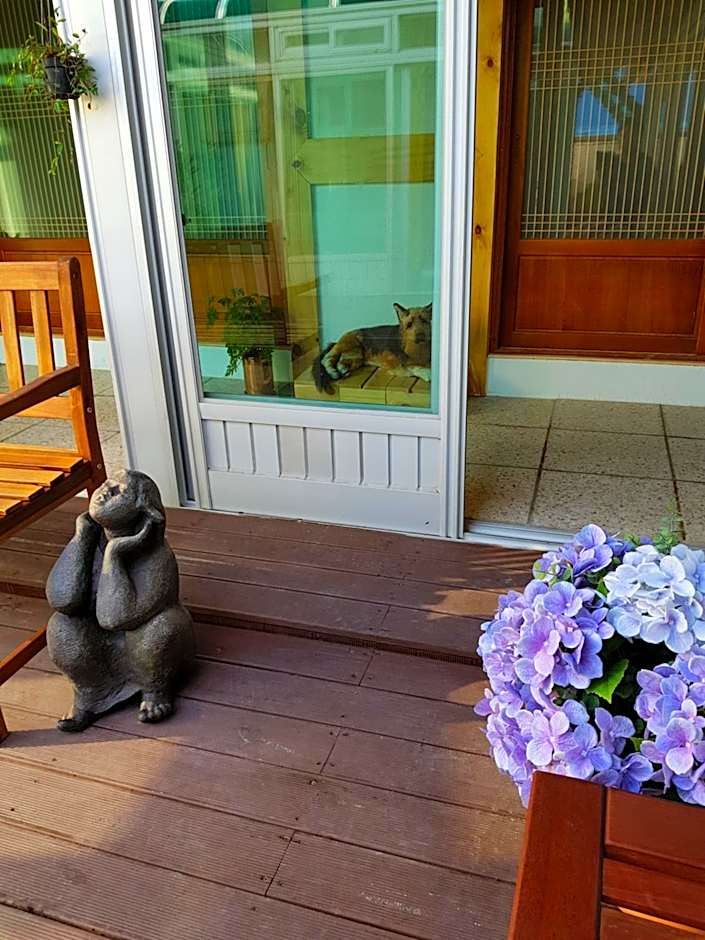 Dal Garam Guesthouse - 외국인 전용