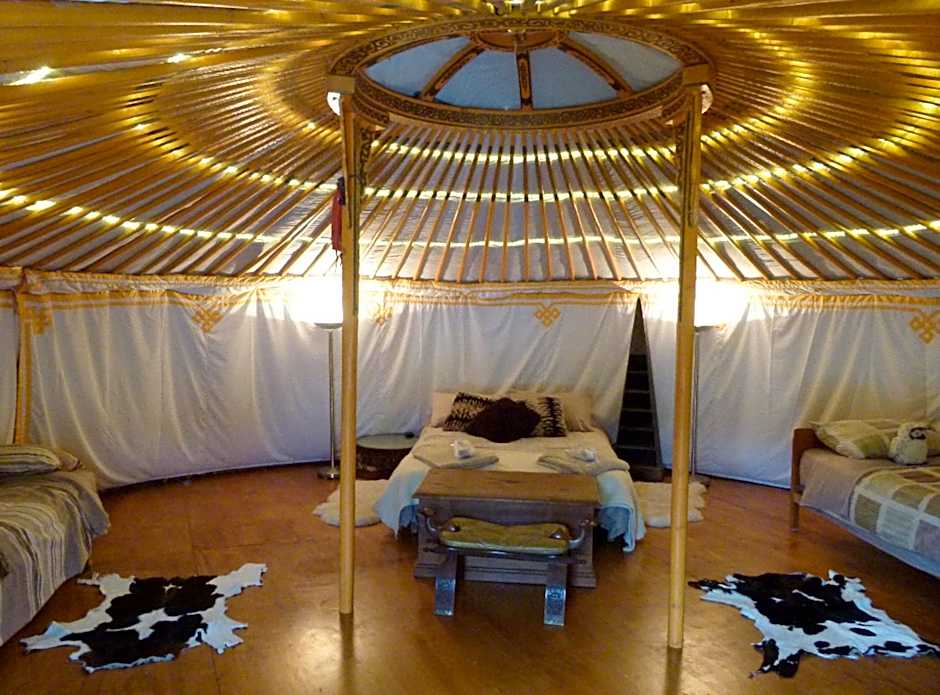 Wacky Stays - unique farm-stay glamping rentals, FREE animal feeding tours