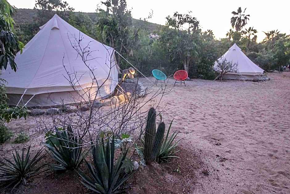 Todos Santos Hostel super fast and stable satellite wifi