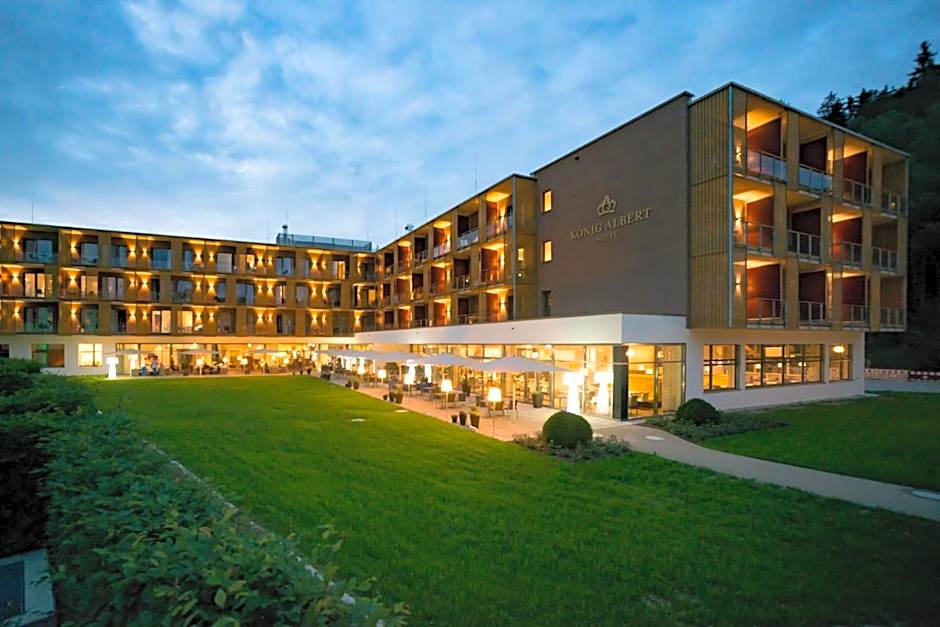 Hotel Konig Albert