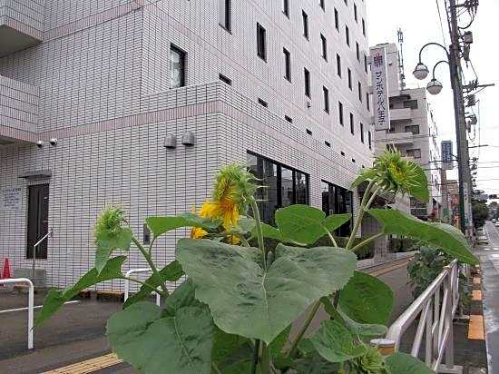 Sun Hotel Hachioji