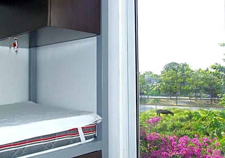 Bed in 8-Bed Mixed Dormitory Room